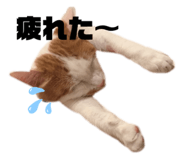 192279149