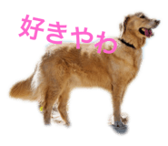 192295220