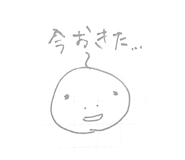 19244511