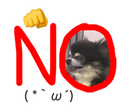 19247289
