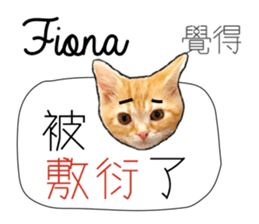 192677262