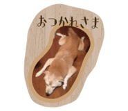 19277932