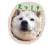 19277937