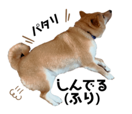 192796705