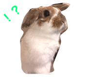 19288202