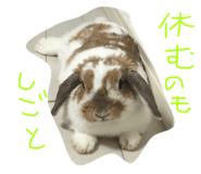 19288206