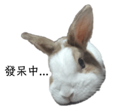 193029888