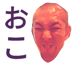 19304182