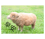 193135396