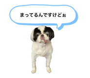 193160678