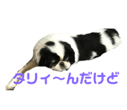 193160680