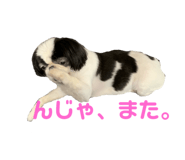 193160685