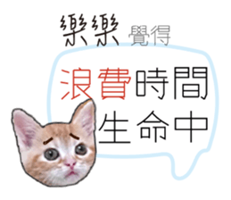 193167614