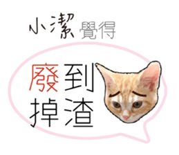 193167757