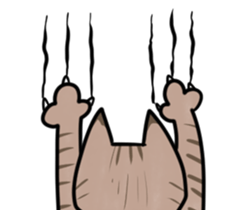 19317307