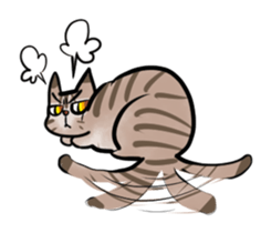 19317332