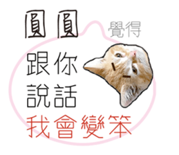 193175111
