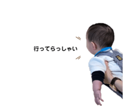 193184816