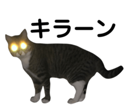 193275520