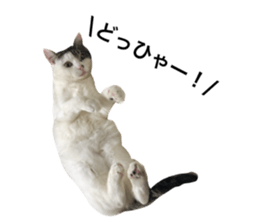 193275524