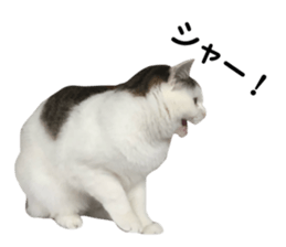 193275533
