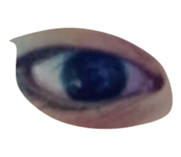 19333692