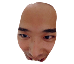 19333695
