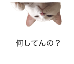 193605644
