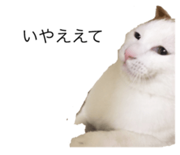 193605645
