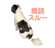 193636230
