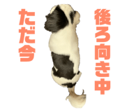 193636243