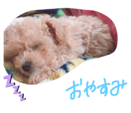 193645014