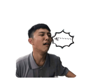 193673841