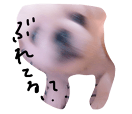 19382908