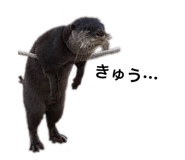 194184486