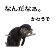 194184492