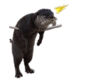 194184494