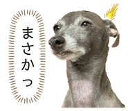 194201452