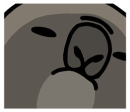194222637