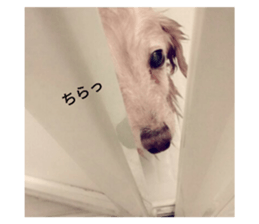 194231216
