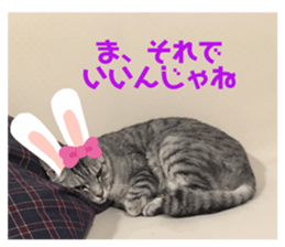 194239572