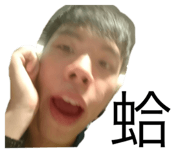 194278371