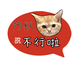 194327695