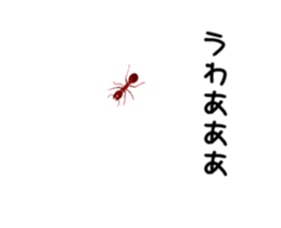 19435636