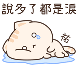 194625504