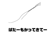 194646244