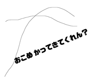 194646245