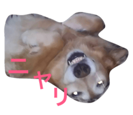 19466438