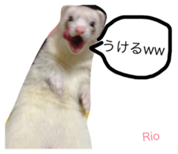 19468393