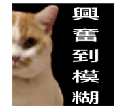 194808585